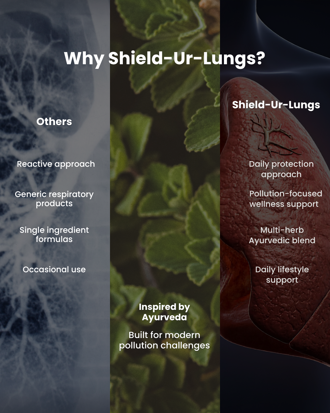 ATYAVEDA's Shield-Ur-Lungs