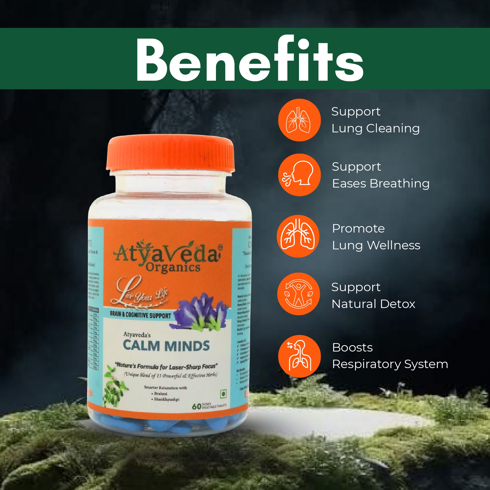 Atyaveda Calm Minds page 0004