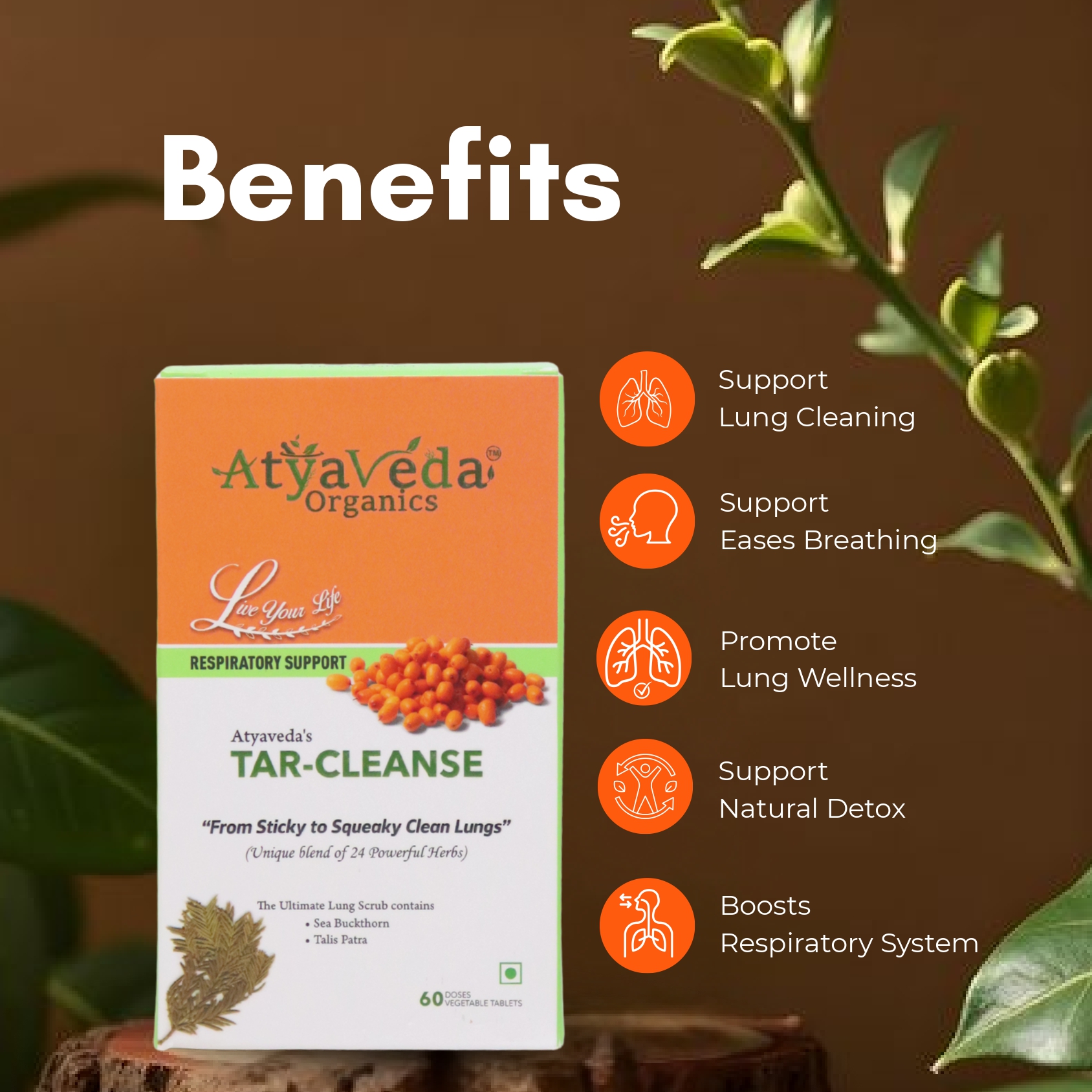 Atyaveda Tar Cleanse 1 page 0002